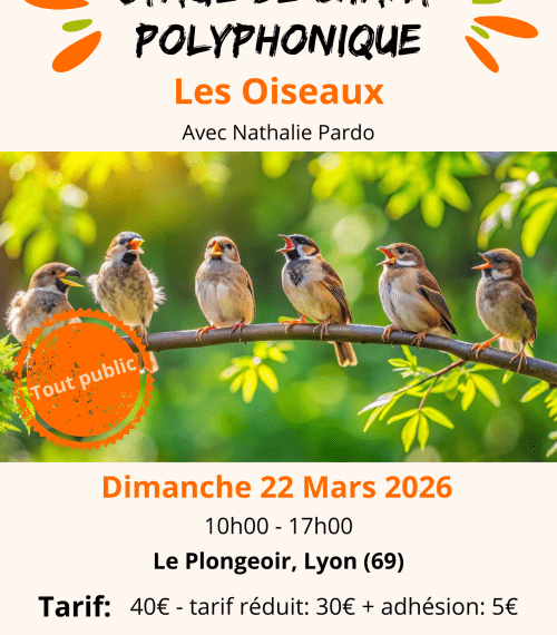 Stage de chant polyphonique - Les Oiseaux