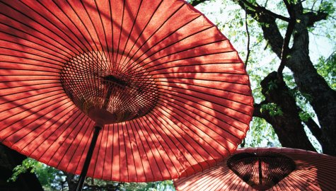 Haru yori aki e (Du printemps à l'automne)